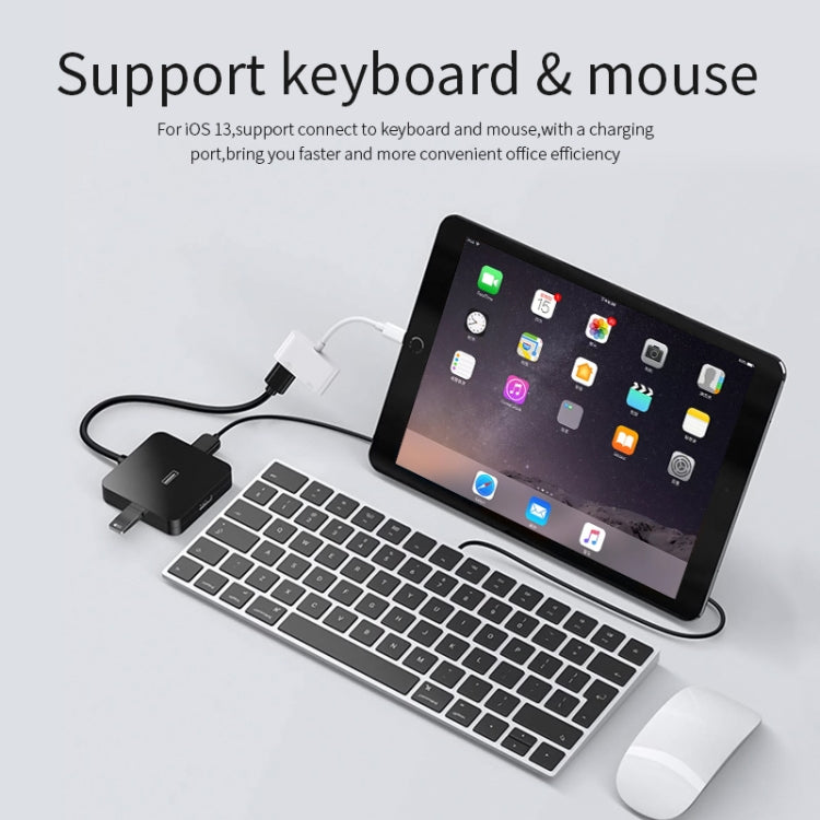 8 Pin to USB & 8 Pin Data Charging Cable