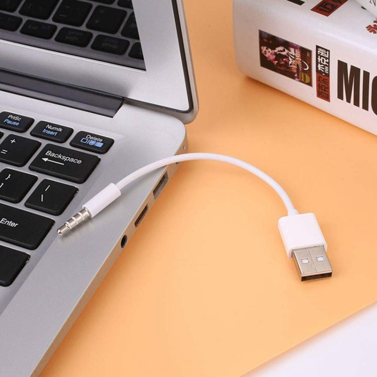 USB to 3.5mm Jack Data Sync & Charge Cable