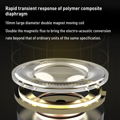 KZ-ZST X Ring Iron Hybrid Driver In-Ear Noise Cancelling Earphone, With Microphone���������������...