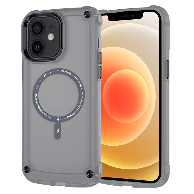Skin Feel TPU + PC MagSafe Magnetic Phone Case
