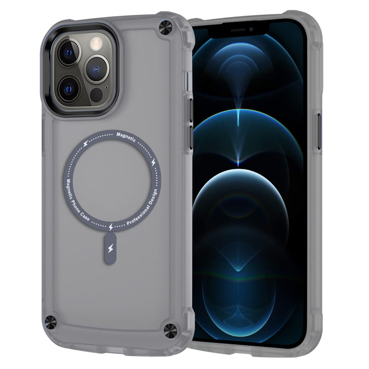 Skin Feel TPU + PC MagSafe Magnetic Phone Case