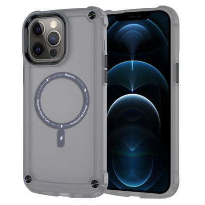 Skin Feel TPU + PC MagSafe Magnetic Phone Case