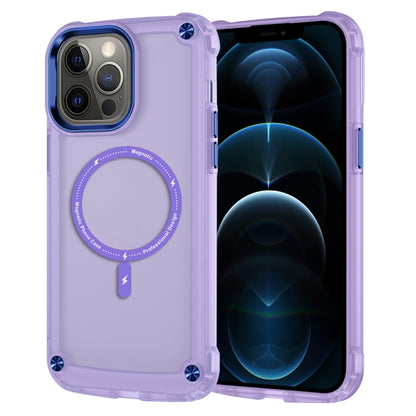 Skin Feel TPU + PC MagSafe Magnetic Phone Case