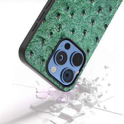ABEEL Genuine Leather Ostrich Texture Phone Case