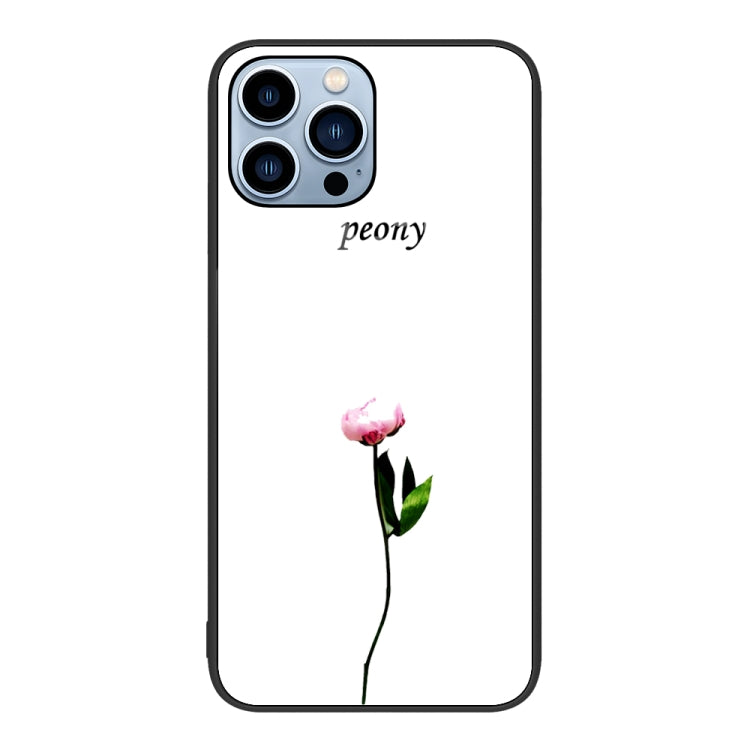 Colorful Painted Glass Phone Case, For iPhone 16 Pro Max, For iPhone 16 Pro, For iPhone 16 Plus��...