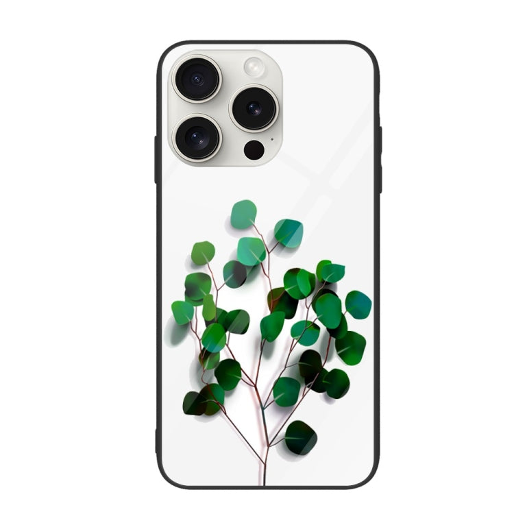 Colorful Painted Glass Phone Case, For iPhone 16 Pro Max, For iPhone 16 Pro, For iPhone 16 Plus��...