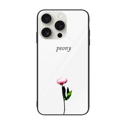 Colorful Painted Glass Phone Case, For iPhone 16 Pro Max, For iPhone 16 Pro, For iPhone 16 Plus��...