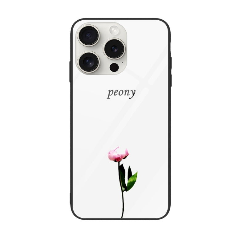 Colorful Painted Glass Phone Case, For iPhone 16 Pro Max, For iPhone 16 Pro, For iPhone 16 Plus��...