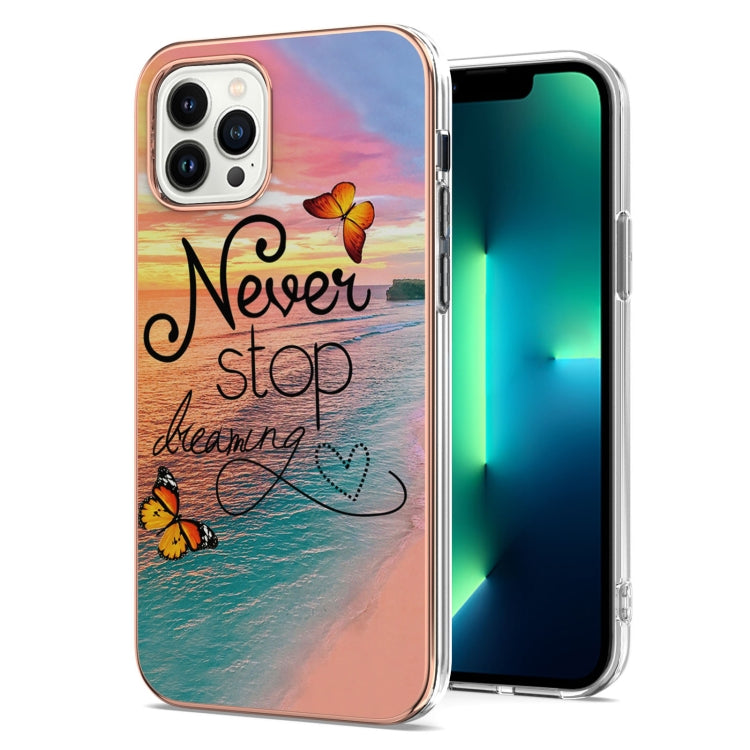 Electroplating Pattern IMD TPU Shockproof Case, For iPhone 16 Pro Max, For iPhone 16 Pro���������...
