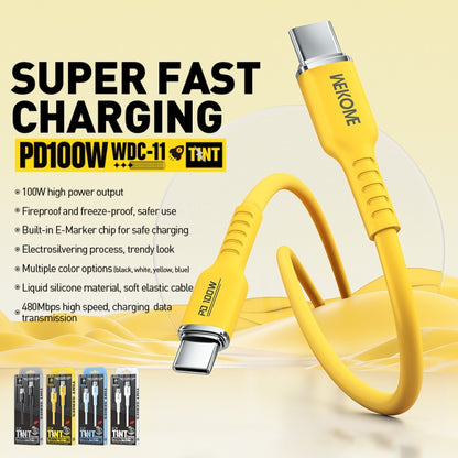 WK WDC-11 100W USB-C/Type-C to USB-C/Type-C Silicone Data Cable, Length: 1.2m, WDC-11