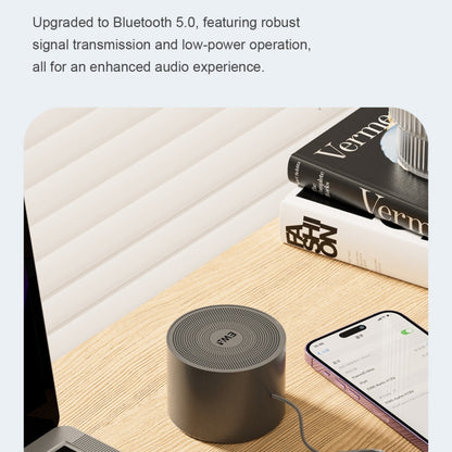 EWA A129 Mini Bluetooth 5.0 Bass Radiator Metal Speaker
