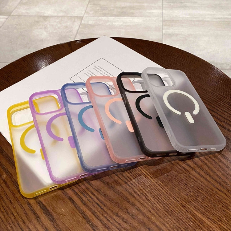 Dual-Side Frosted MagSafe Clear Phone Case, For iPhone 12 Pro Max, For iPhone 12 Pro, For iPhone 11