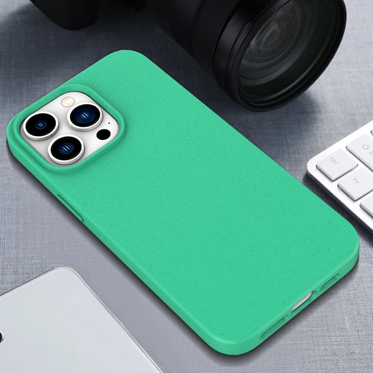 Wheat Straw TPU Phone Case, For iPhone 17 Pro, For iPhone 16e, For iPhone 16 Pro Max�������������...