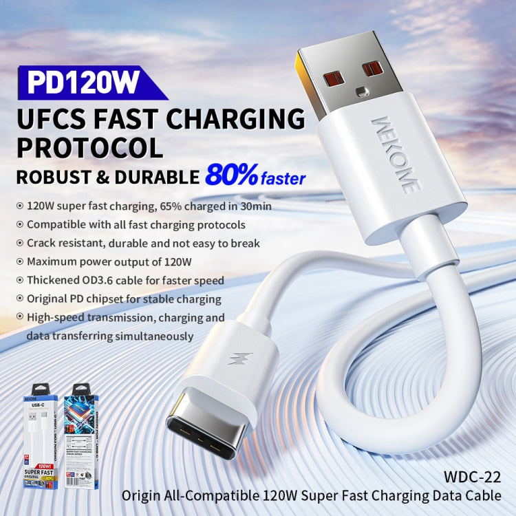 WK WDC-22 Origin All Compatible 1m 120W USB to Type-C Fast Charging Data Cable