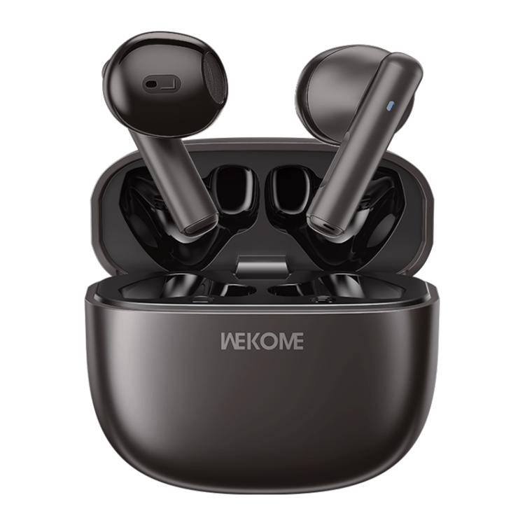 WK WS-19 Kinvoice Series Metal TWS Wireless Earbuds