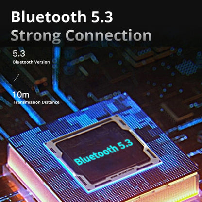 D Monster D16 Portable HiFi Bluetooth 5.3 Speaker, Support TF Card