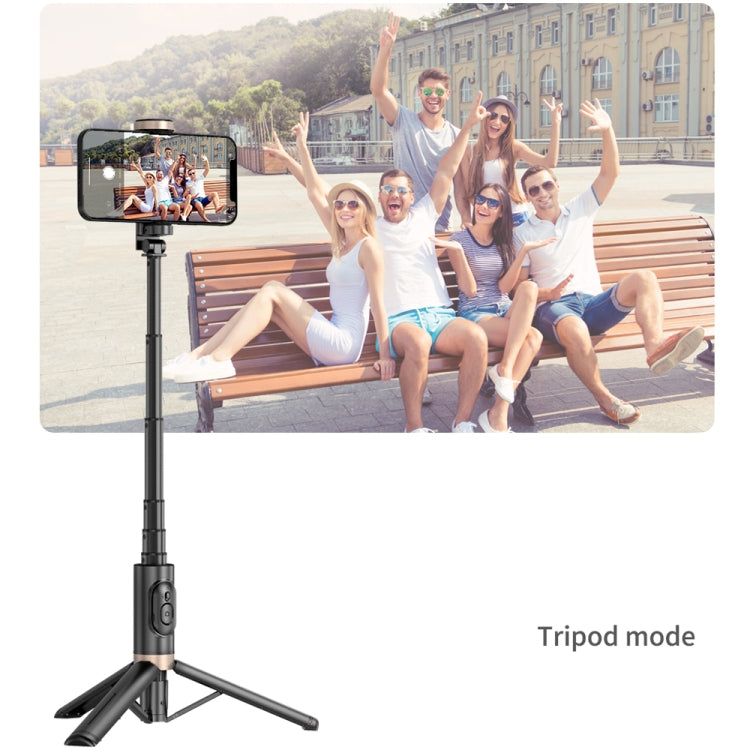 Q12 Hidden Design Reinforced Bluetooth Remote Control Tripod Selfie Stick, Q12 (Black), Q12s (Pin...