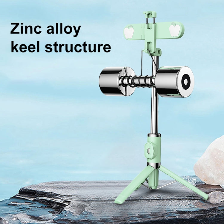 Bluetooth Remote Control Dual Fill Light Tripod Selfie Stick, Dual Fill Light (Black)������������...