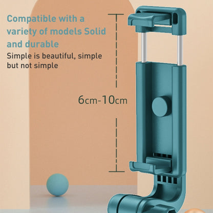 R1 Multifunctional Bluetooth Tripod Selfie Stick