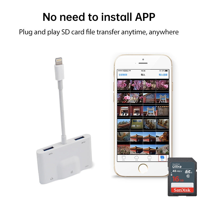 6 in 1 8 Pin Adapter