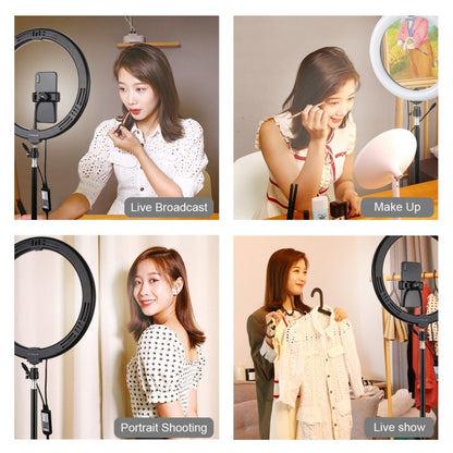 PULUZ 11.8 inch 30cm RGB Light 1.1m Tripod Mount Dimmable LED Ring Vlogging Selfie Photography Vi...