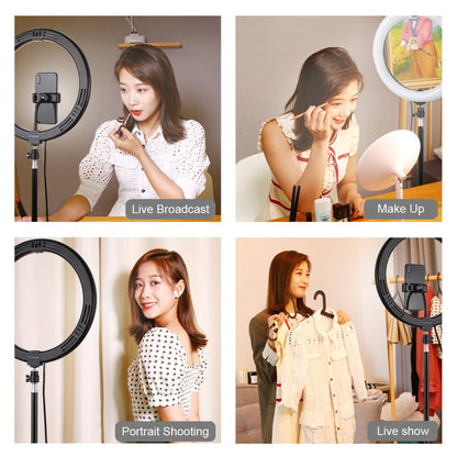 PULUZ 11.8 inch 30cm Light + 1.1m Tripod Mount Curved Surface USB 3 Modes Dimmable Dual Color Tem...