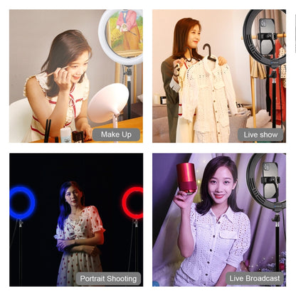 PULUZ 10.2 inch 26cm Marquee LED RGBWW Selfie Beauty Light  + 1.1m Tripod Mount 168 LED Dual-colo...