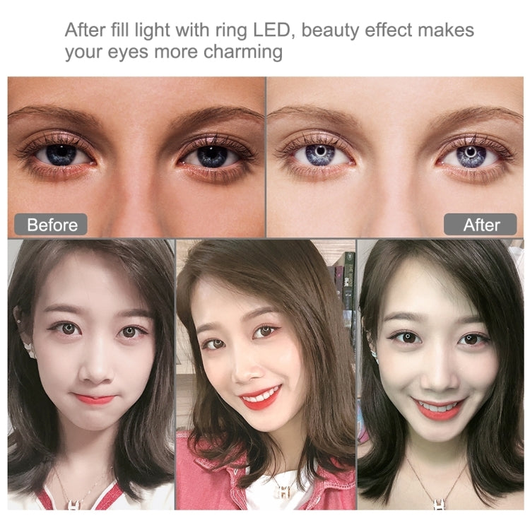 PULUZ 6.2 inch 16cm USB RGBW Dimmable LED Ring Vlogging Photography Video Lights  with Cold Shoe ...