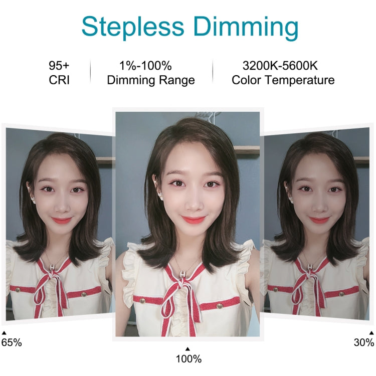 7.9 inch 20cm 3 Modes Dimmable Dual Color Temperature Light