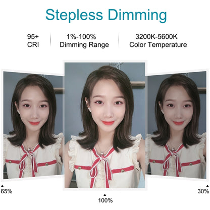 7.9 inch 20cm 3 Modes Dimmable Dual Color Temperature Light