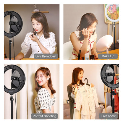 7.9 inch 20cm 3 Modes Dimmable Dual Color Temperature Light