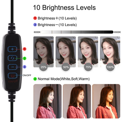 10.2 inch 26cm 3 Modes Dual Color Temperature Ring Light