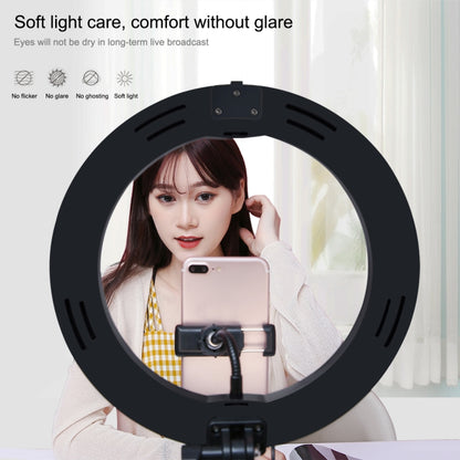 10.2 inch 26cm 3 Modes Dual Color Temperature Ring Light