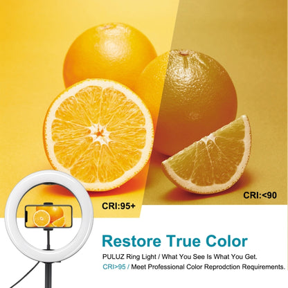 10.2 inch 26cm 3 Modes Dual Color Temperature Ring Light