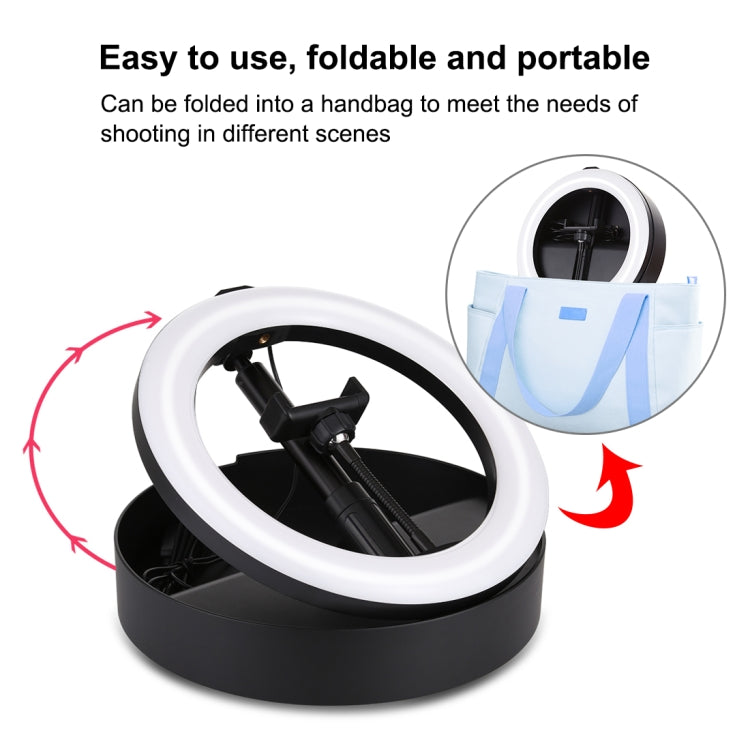 10.2 inch 26cm 3 Modes Dual Color Temperature Ring Light