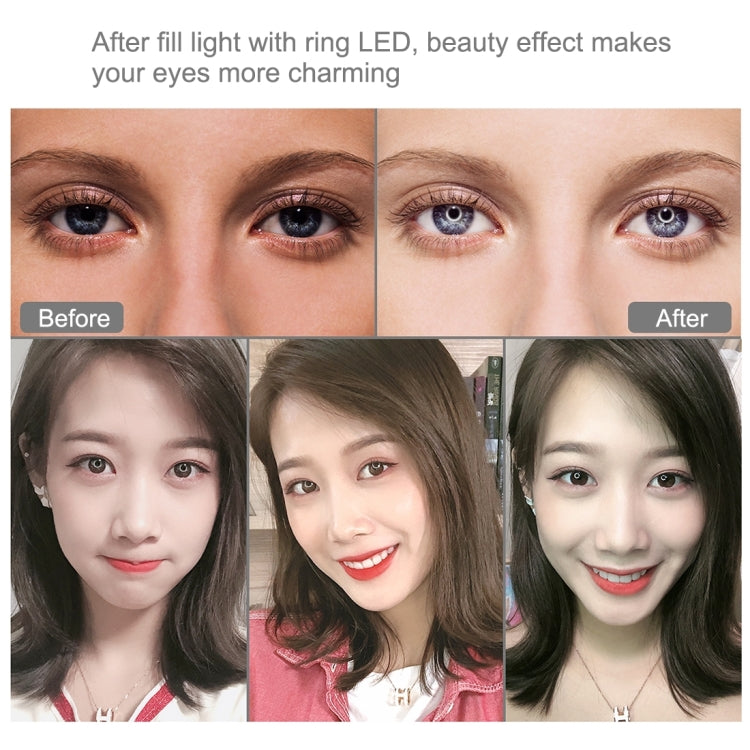 7.9 inch RGBW Ring Lights with Phone Clamp