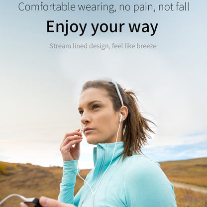 JOYROOM JR-EP1 1.2m 3.5mm Plug Wire Control In-Ear Earphone, R-EP1