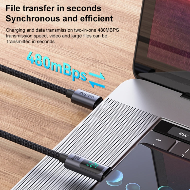 Type-C to Type-C Digital Display Charging Data Cable