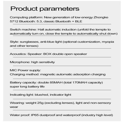 W100 Smart Glasses, Support AI Conversation / AI Intelligent Translation / Bluetooth Call