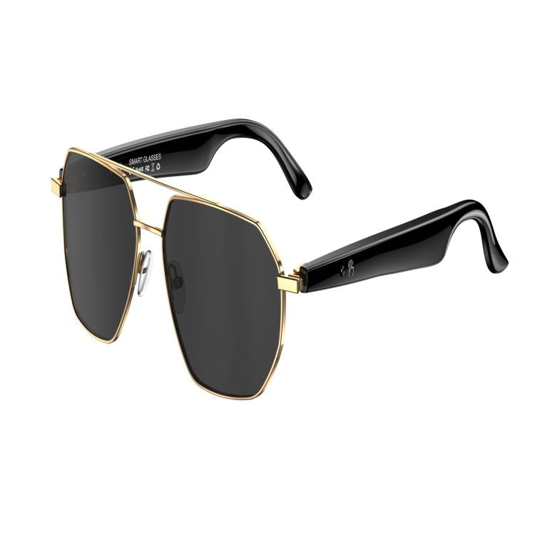 W100C Smart Glasses, Support AI Conversation / AI Intelligent Translation / Bluetooth Call