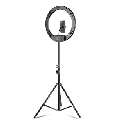 Dimmable Color Temperature LED Ring Fill Light Live Broadcast Set
