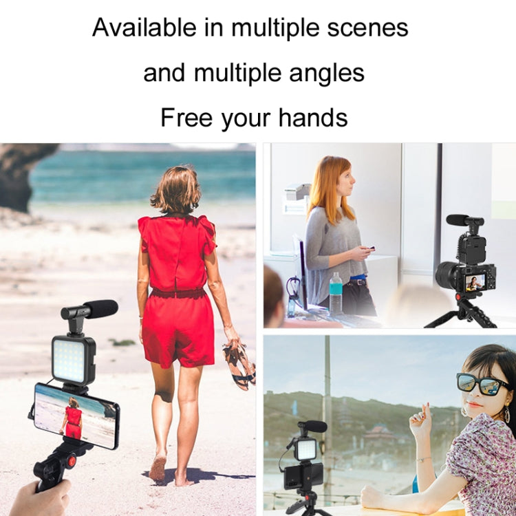 KIT-01LM 3 in 1 Video Shooting LED Light Portable Tripod Live Microphone, Battery Models���������...