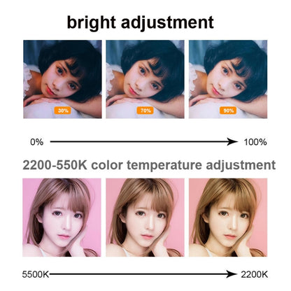 6 inch Strong Clip Fill Light