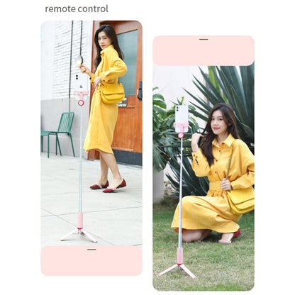 Mobile Phone Selfie Stick Fill Light