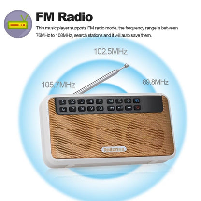 Rolton E500 Bluetooth Speaker 2.1-Channel Built-In Microphone Supports FM Radio