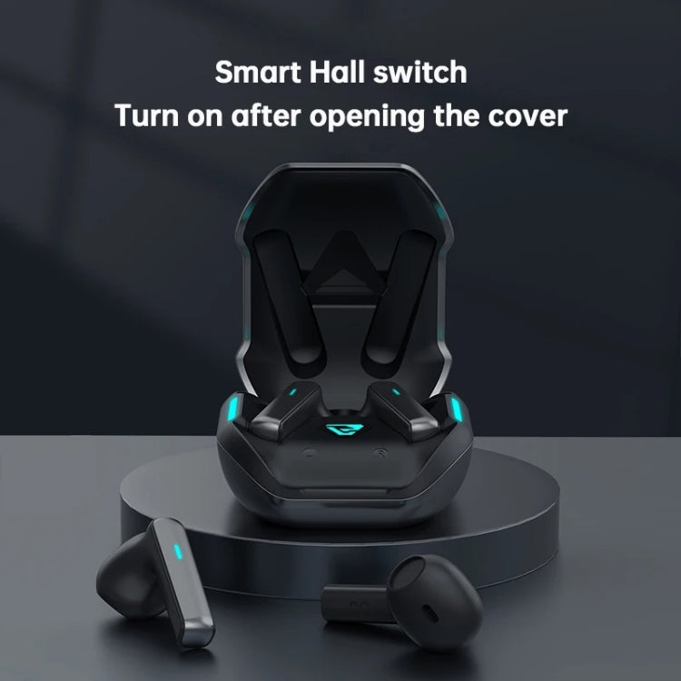 Lenovo TG132 Wireless Bluetooth 5.3 Earphones