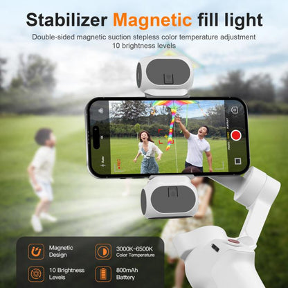 Stabilizer Fill Light